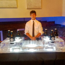 Ice bar for beer tasting