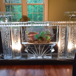 Ice bar with live fish tank